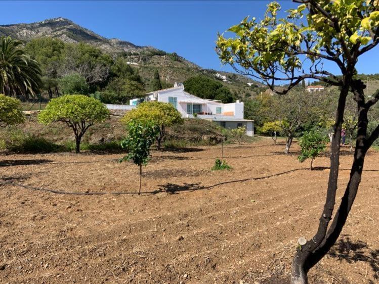 Casa 2Mariposas Villa Mijas Exterior photo